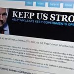 Wikileaks banner