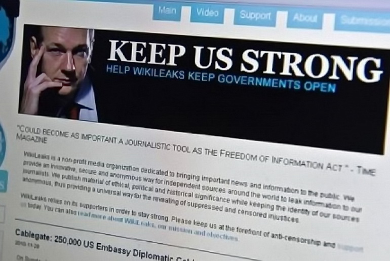 Wikileaks banner