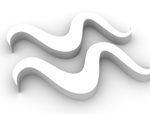 Aquarius