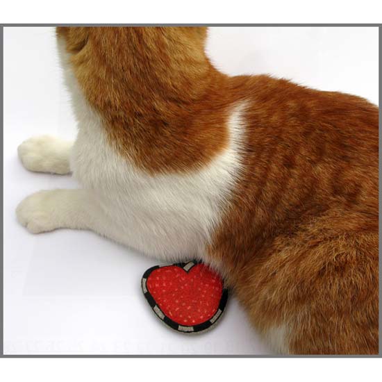 Cat-heart