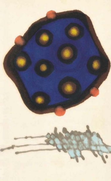 060 Osho Signature in Book