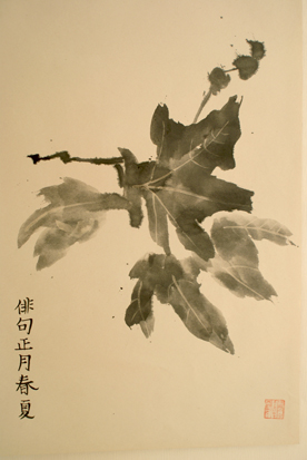 Ganga calligraphy course in Bulgaria