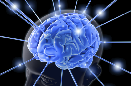 brain