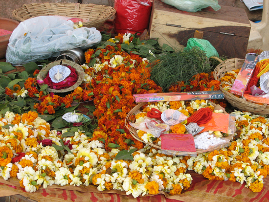 Offerings for Ganga