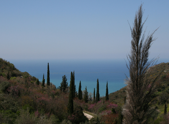 On the road up to the Pantokrator – Corfu