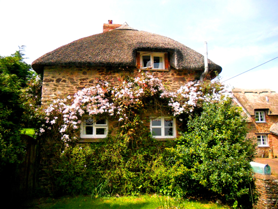 1 Thatched brick cottage close up