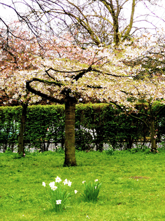 2 Regents Park spring