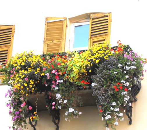 8 window box Varazze