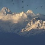 The Point of Vanishing