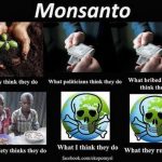 Monsanto
