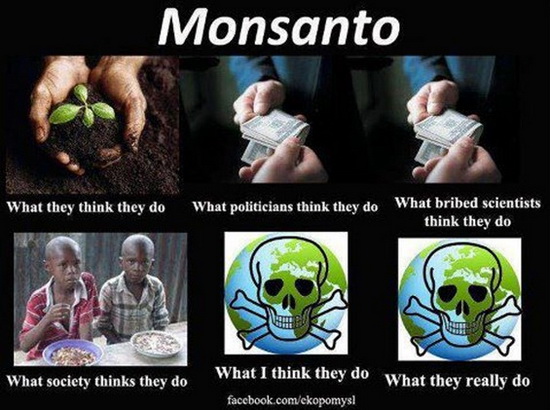 Monsanto