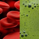 blood and green juice