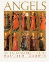 Angels: An Endangered Species