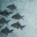 Do not conform Feat. 1