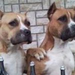 Don't worry bro Feat.