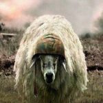 Einstein on War Feat.