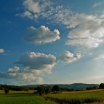 Landscape near Siena by Muni