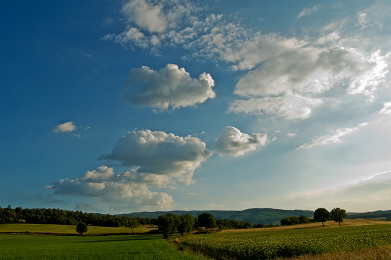 Landscape near Siena by Muni
