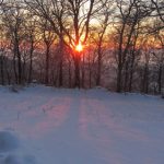 Sun sets between trees by Madhav Krishna