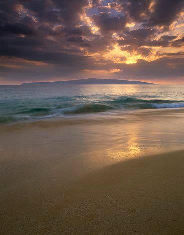 new dawn