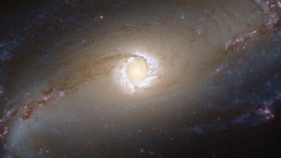 spiral galaxy NGC 1097 by NASA