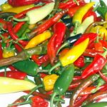 Mixed Chillies Feat.