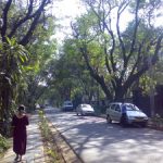 Koregaon Park, Pune