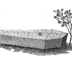 coffin
