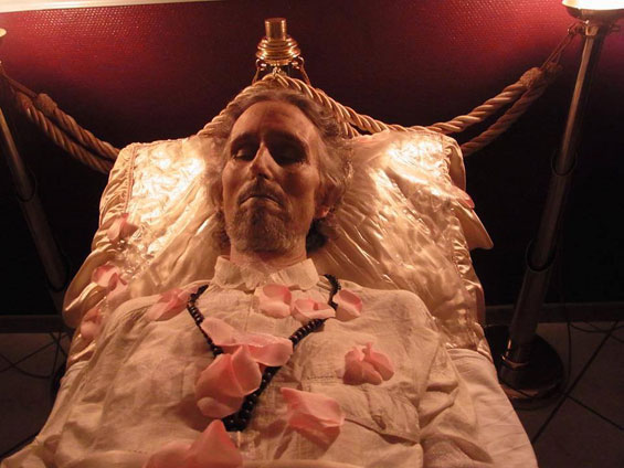 Paraprem-with-flowers