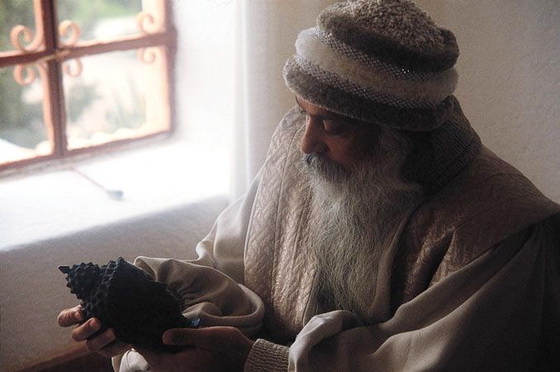 Osho looking at Buddha Image