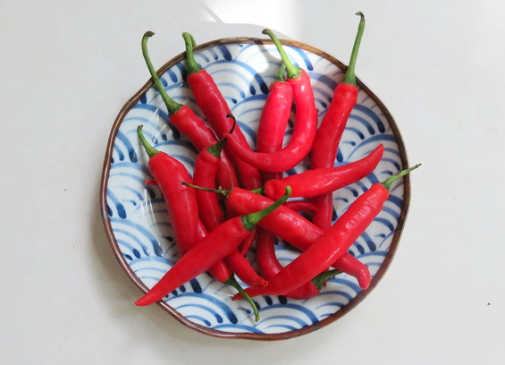 Hot Chilli on Plate