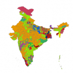 Indian Elections 2013