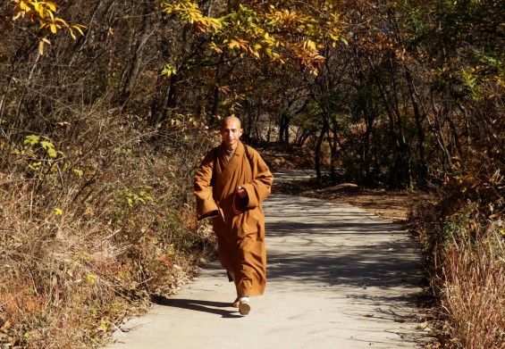 A monk on the path