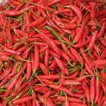 Chillies in Bag Feat.