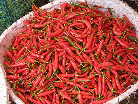Chillies in Bag