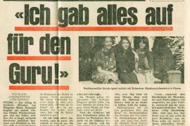 article in Blick