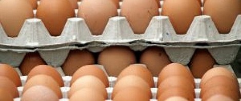 Eggs