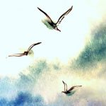 Gyaneshwar - birds watercolour