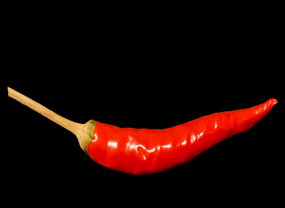 Hot Chilli