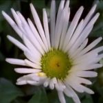 You are the battlefield Feat.