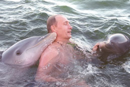 Vladimir Putin swimming with dolphins