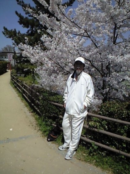 with spring blossoms