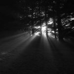 sunrays in wood by Atmo