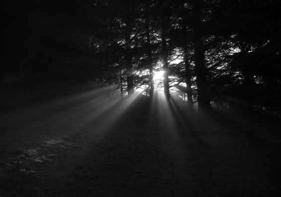 sunrays in wood by Atmo
