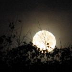 Full Moon Assam Times Feat.