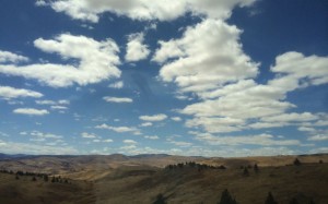 landscape cr Jady Namber