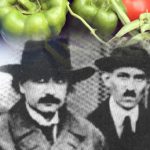 Einstein Tesla composite cr Tim Sparks