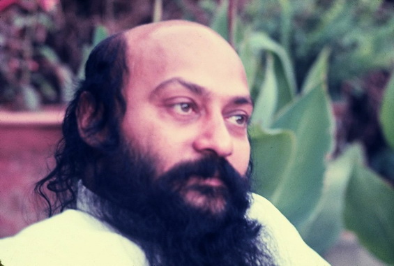 Osho Camp