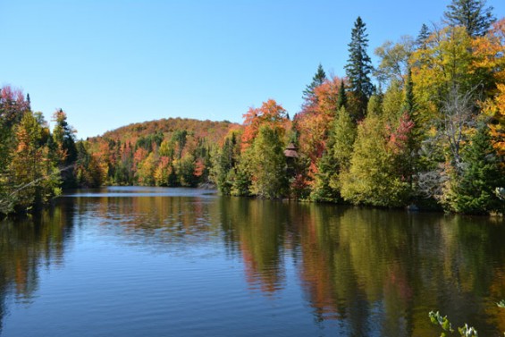 020-The-lake-in-autumn