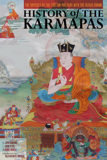History of the Karmapas book cover